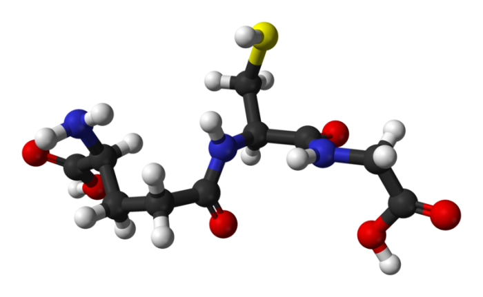 Glutathione molecule using 3D balls