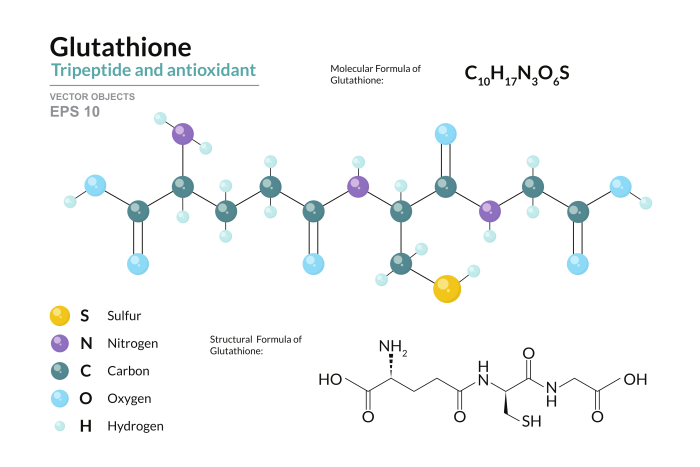 Visual showing the molecular formula of Glutathione