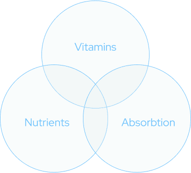vitamins, nutrients and absorption graphic illustration